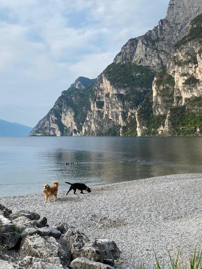 Mutti Stay Apartments Riva del Garda Exterior foto